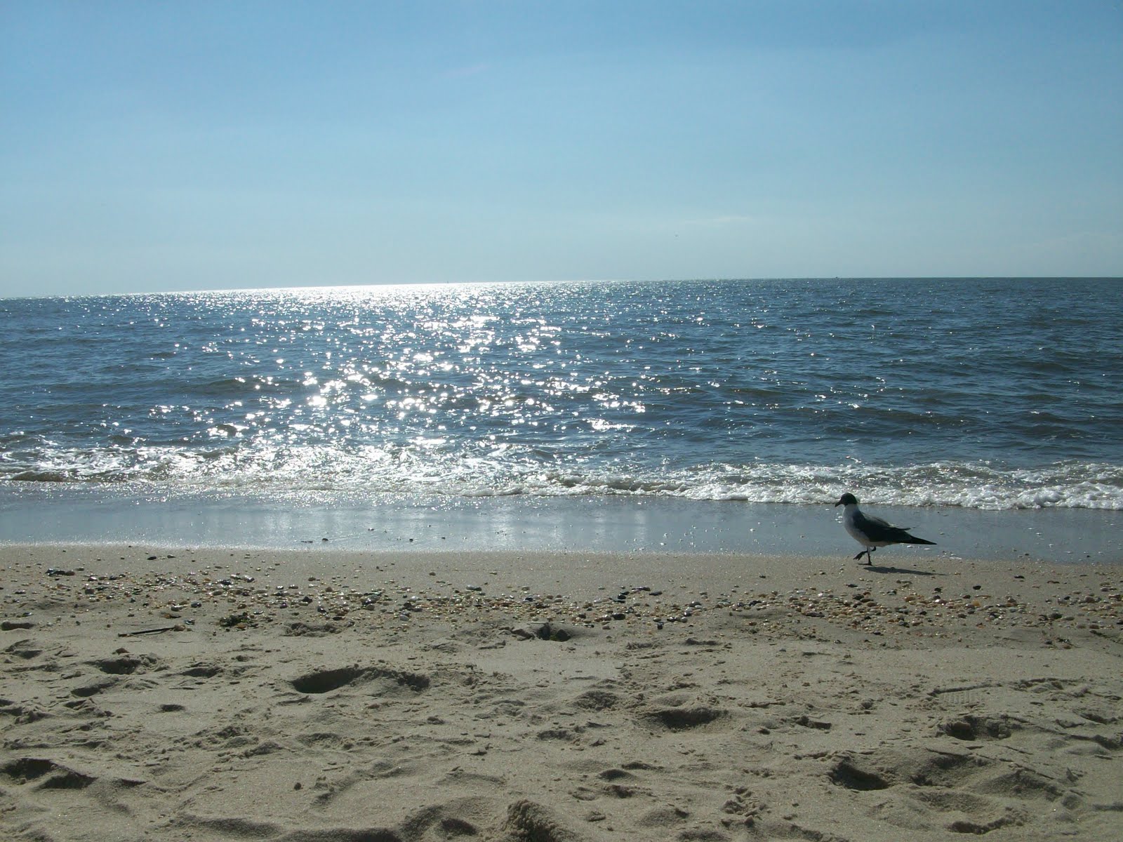 Secrets Of The Shore New Jersey Beaches Pt