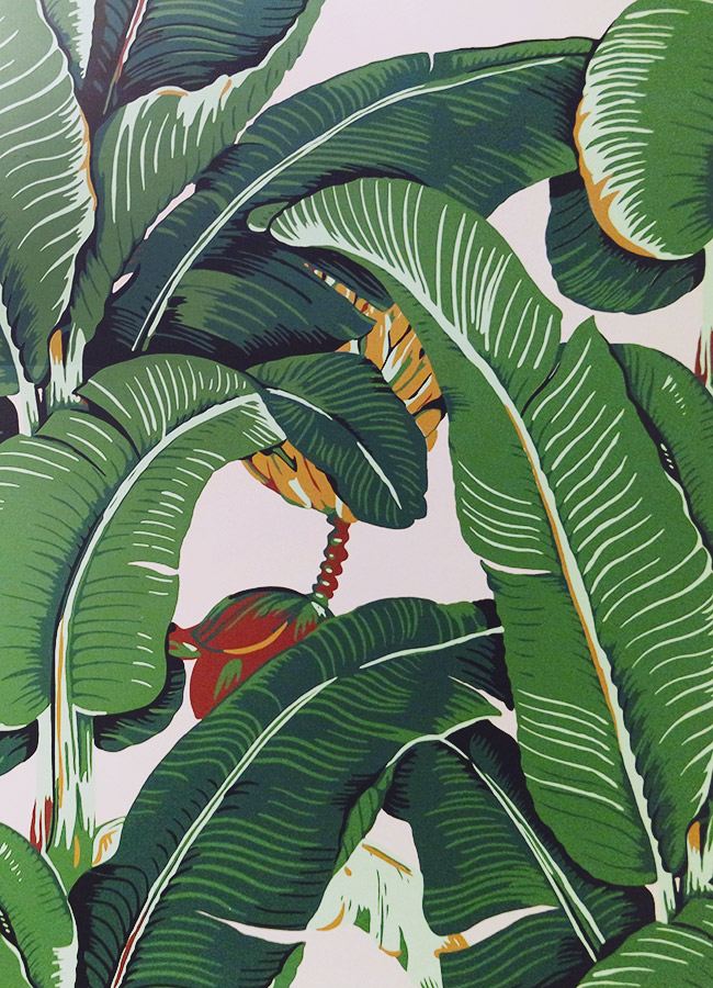 Why Well the first reason was to check out the iconic palm wallpaper