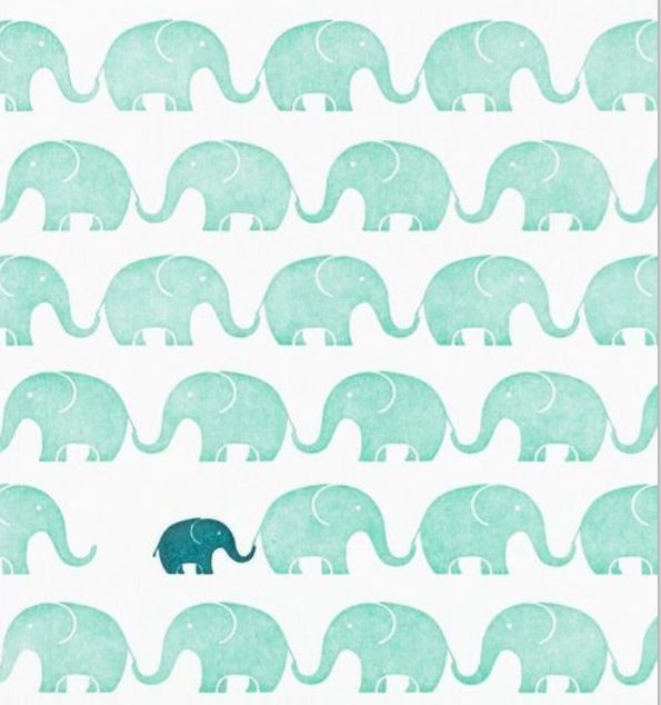 Cute Elephant Wallpaper I Pod Touch
