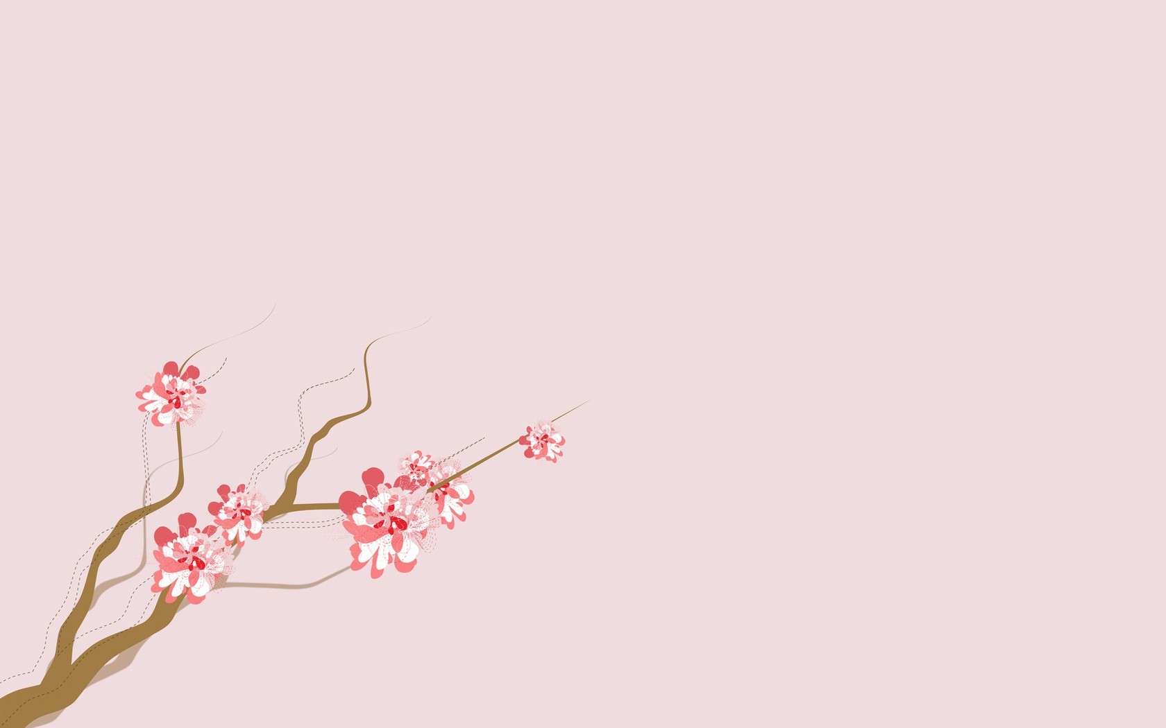 Cherry Blossoms Wallpaper