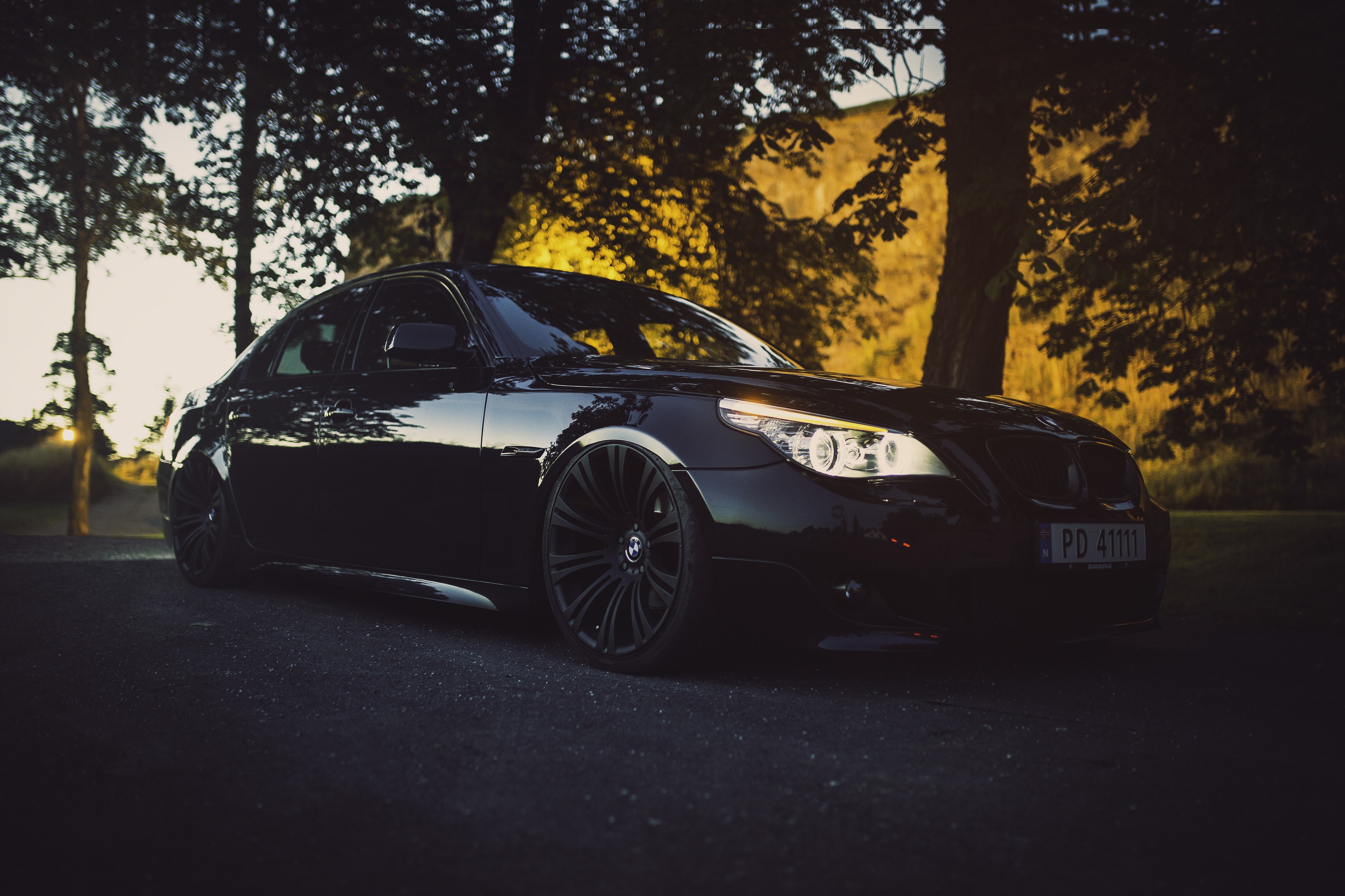 Sleek Black BMW M5 Parked Under Trees at Sunset