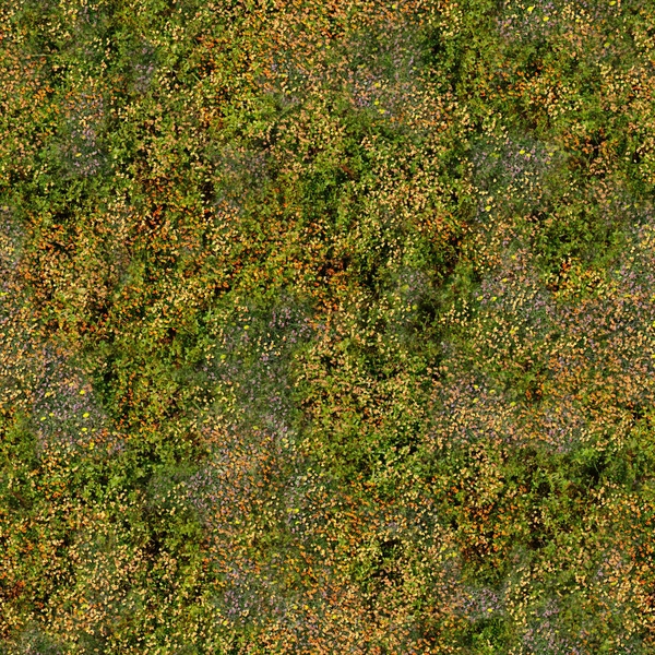 Grass Green Textures Meadows Wallpaper