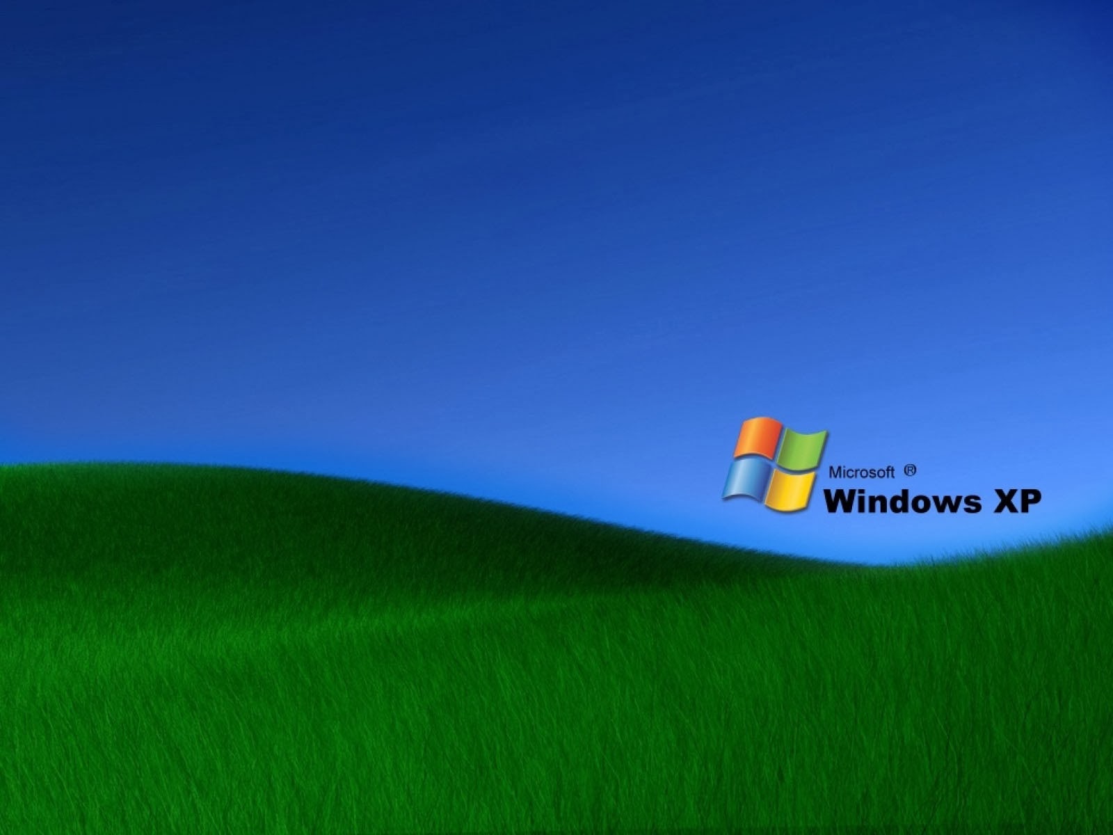 Wallpaper Grass Windows Xp Desktop Background