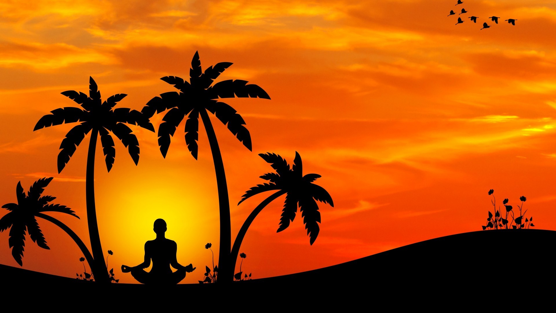 Yoga Palm Trees Back View Meditation Sunset Minimal