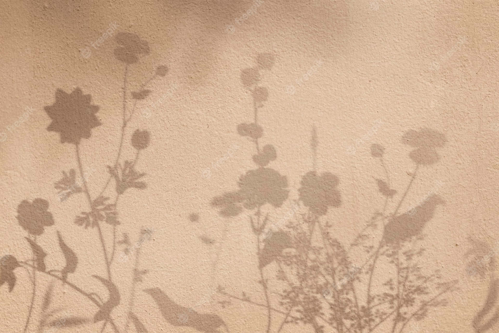 Beige Aesthetic Picture Wallpaper