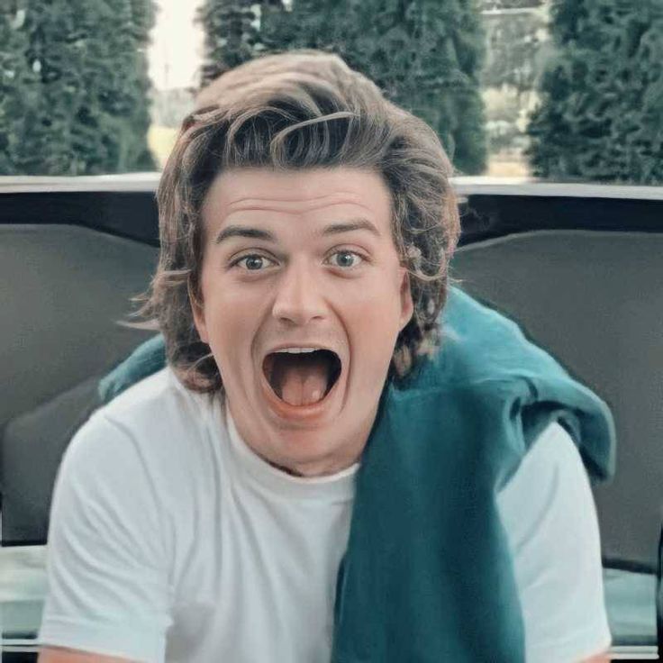 Joe Keery Icons Wallpaper