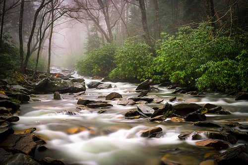 Smoky Mountain River Photo Sharing