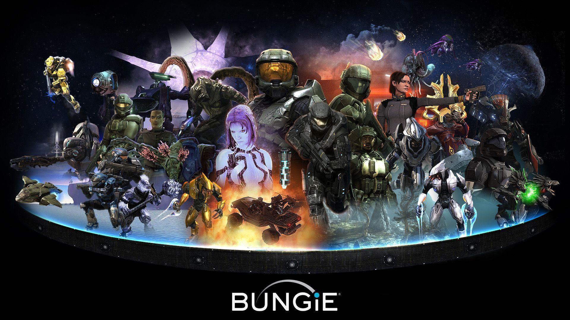 Funny Halo Wallpaper