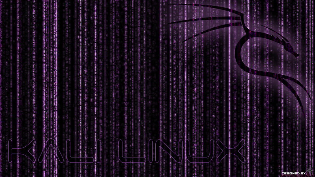 Kali Linux Backtrack Wallpaper Purple V By Zeroxproject On