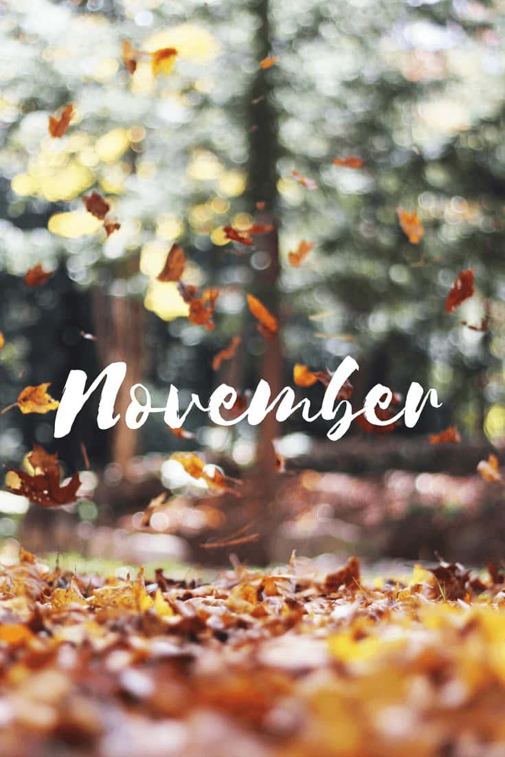 Free download Download Cute November Fall Wallpaper [735x1102] for your ...
