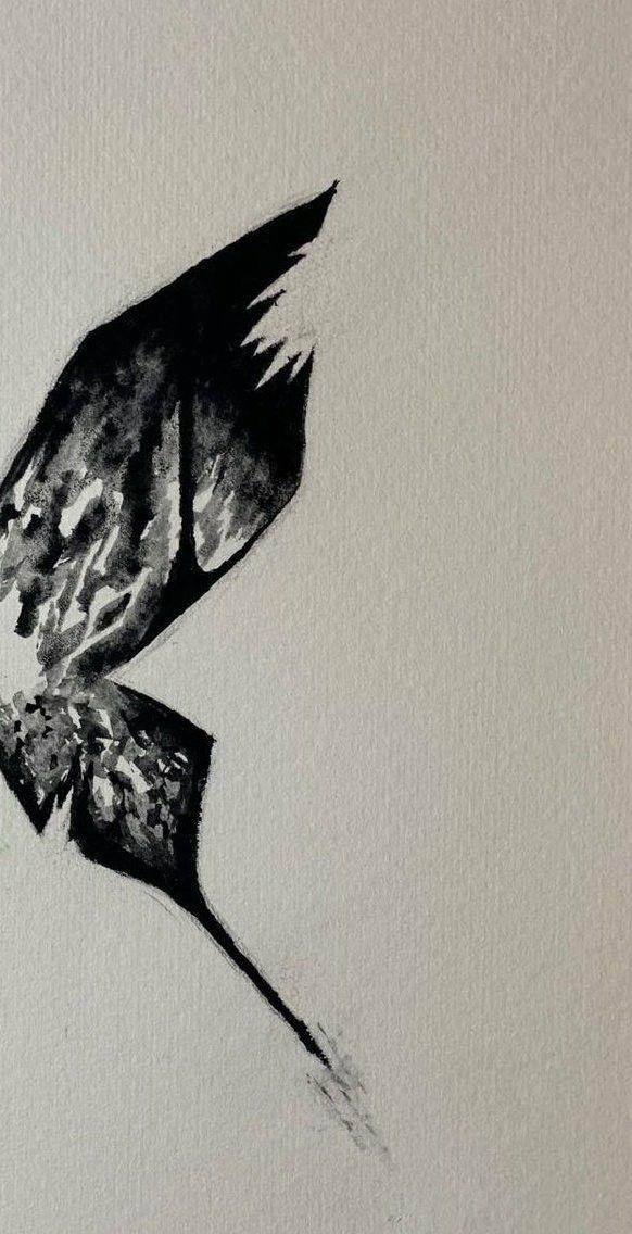 Renjun Wallpaper Minimalist Butterfly