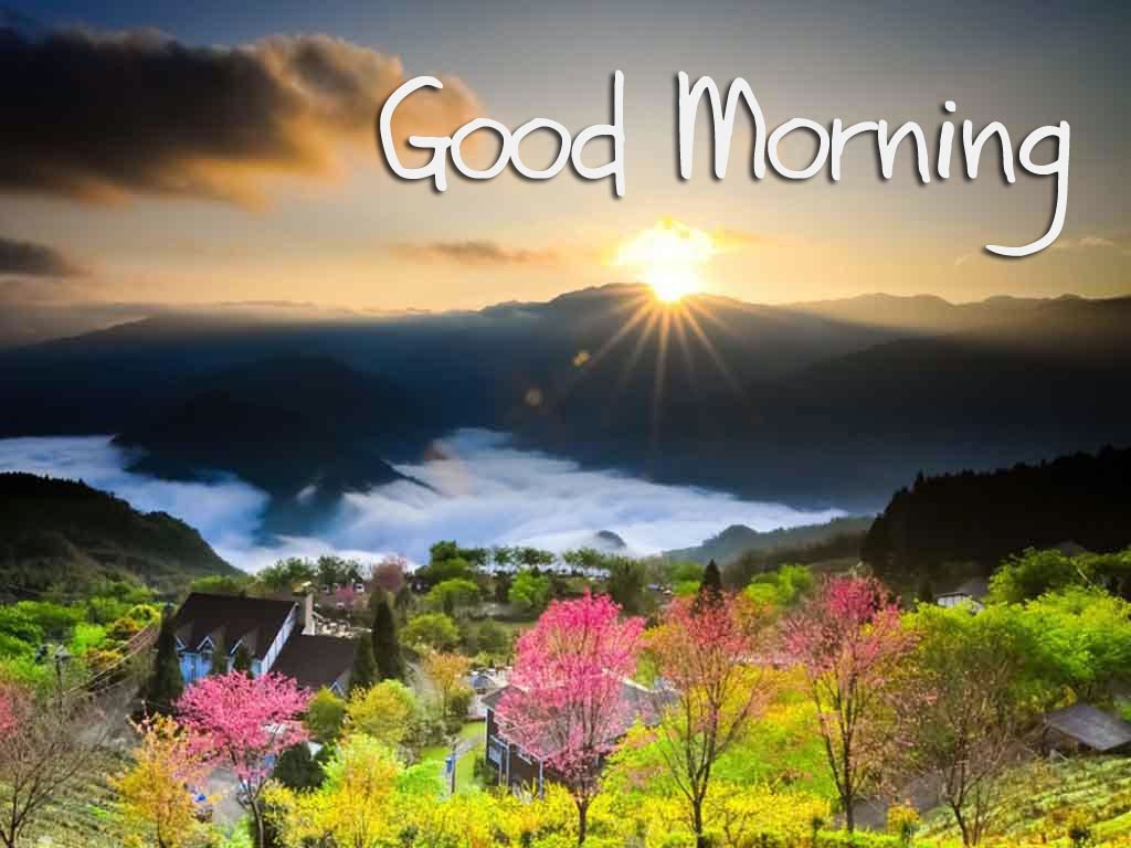 beautiful good morning wallpaper good morning wishes hd wallpapers for