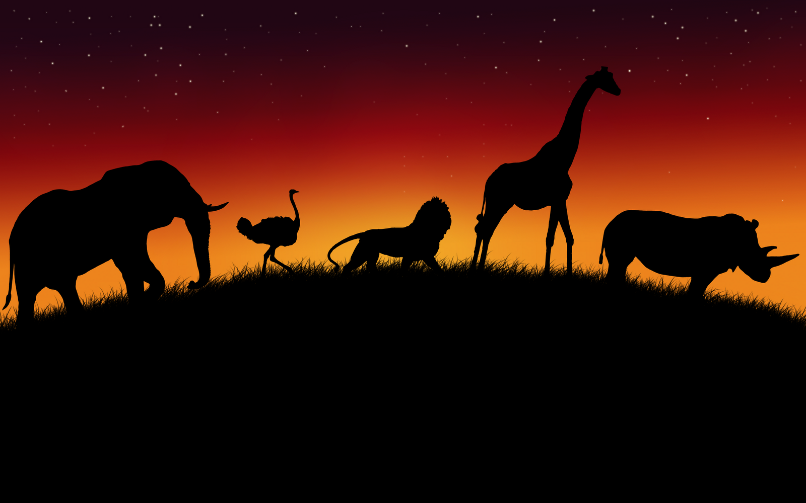 African Animals Wallpaper Zoo Wild Silhouettes
