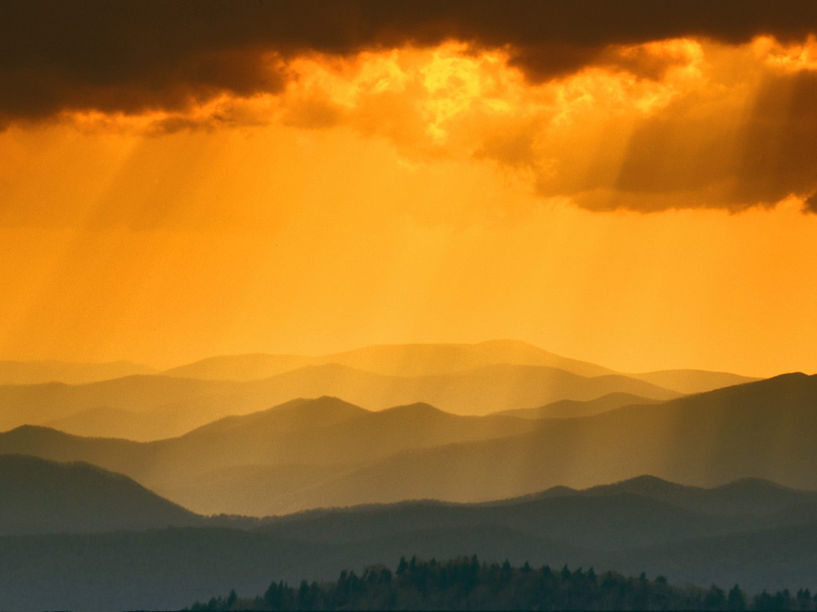 Landscapes Sunset Clingmans Dome Great Smoky Mountains Tennessee