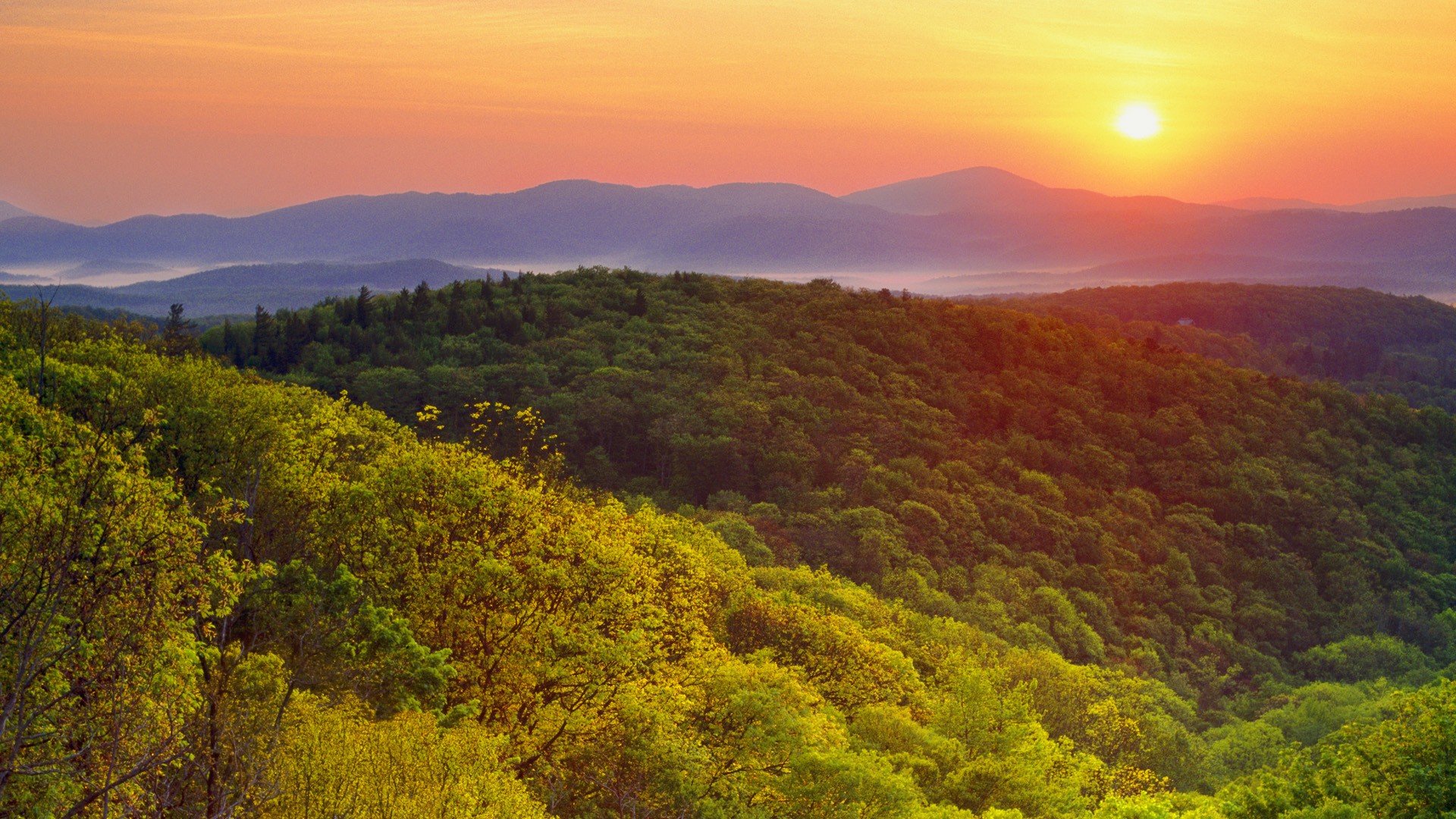 Mountains Landscapes Forests Valleys Wilson North Carolina Wallpaper