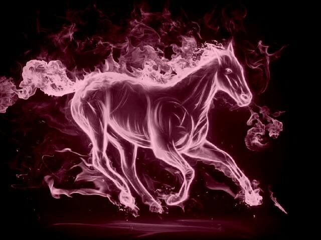 7300 Pink Horse Stock Photos Pictures  RoyaltyFree Images  iStock   Unicorn Rainbow horse Pony