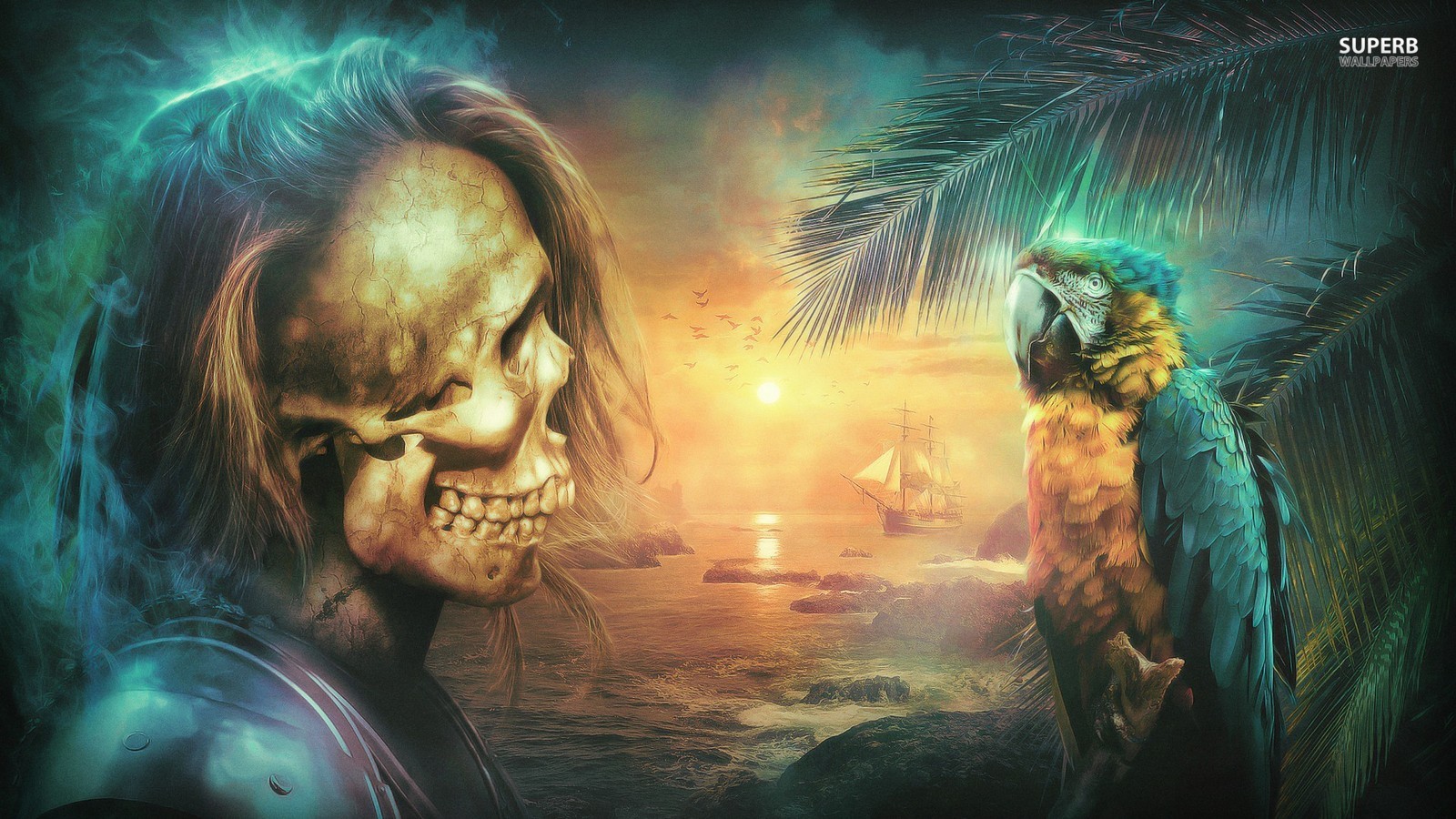 Pirates Image Skeleton Pirate HD Wallpaper And Background Photos