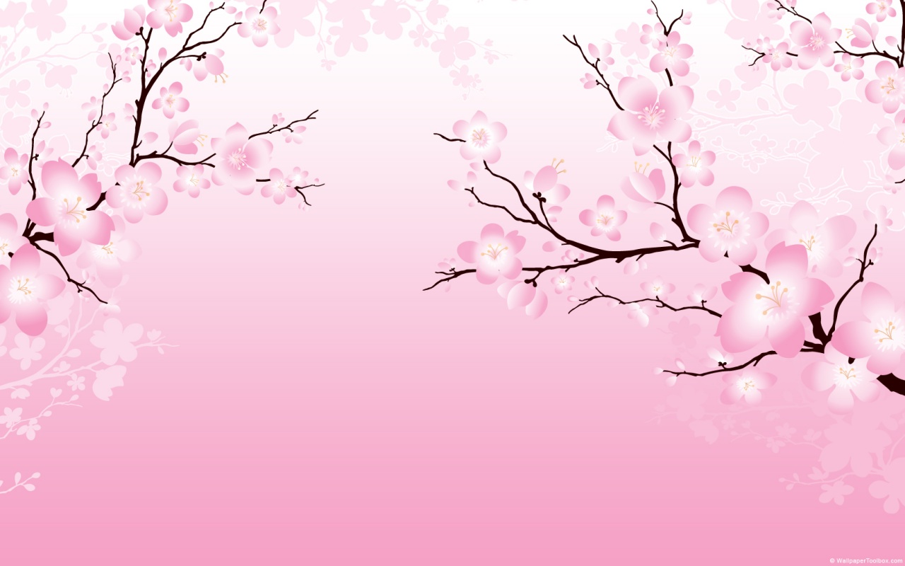 Anime Cherry Blossom Desktop Wallpaper  PixelsTalkNet