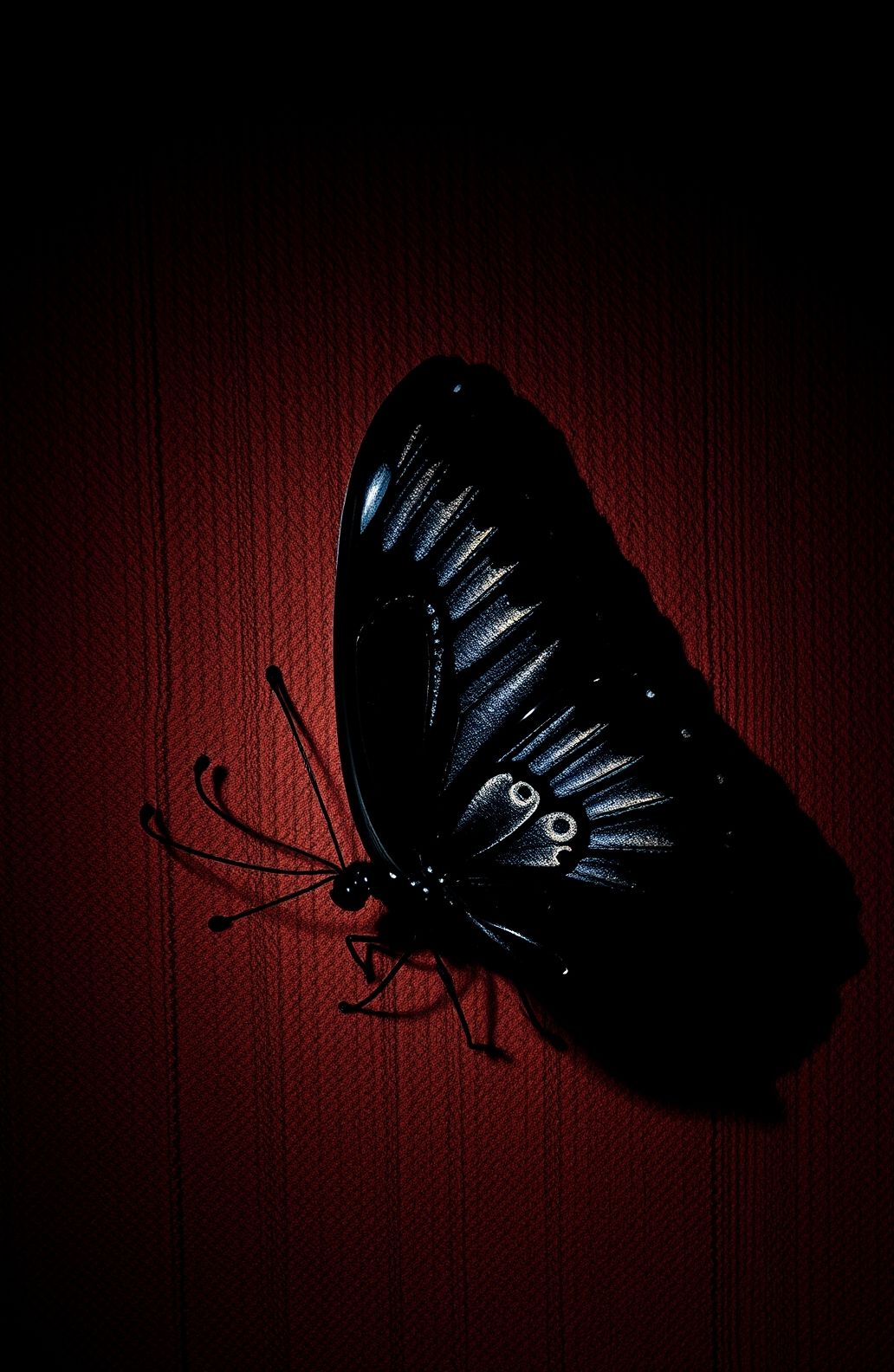Black Butterfly Background Wallpaper