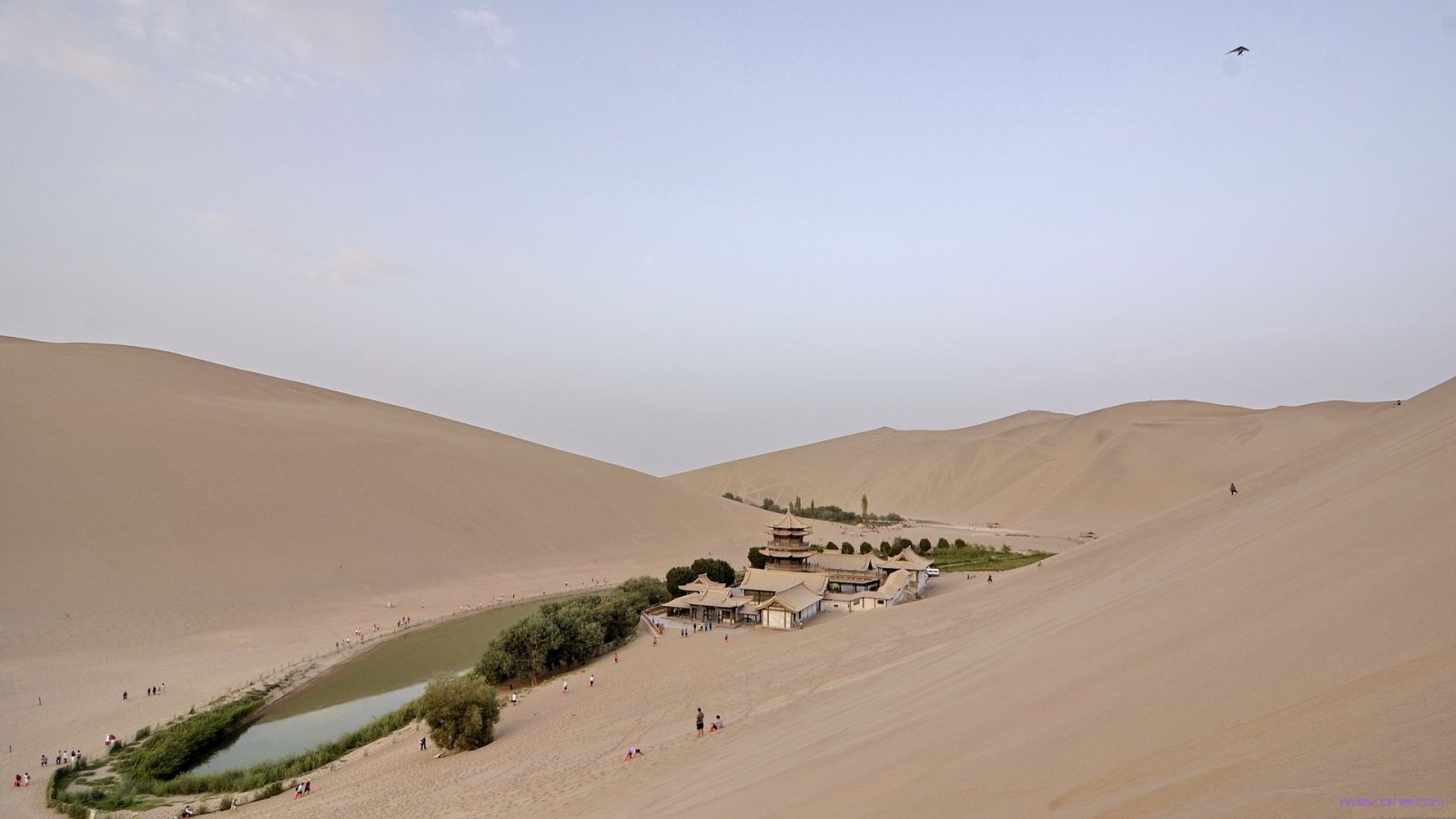 desert oasis 1080p hd wallpaper beauty desert oasis 1080p hd wallpaper