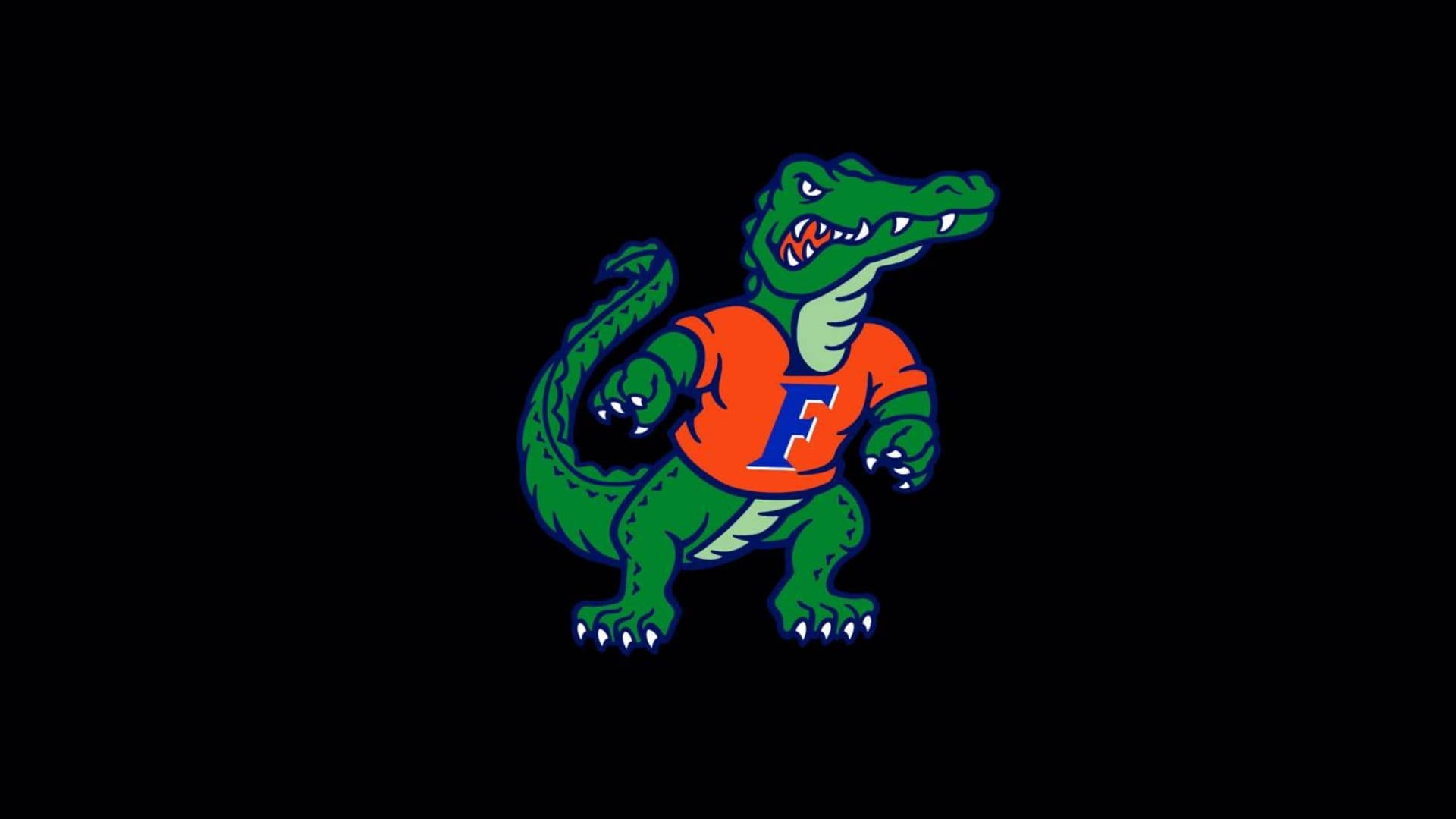 Top Florida Gators Wallpaper Full HD 4k To Use