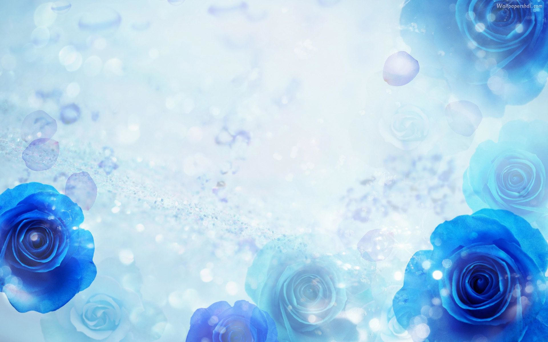 Blue Flowers Background Image