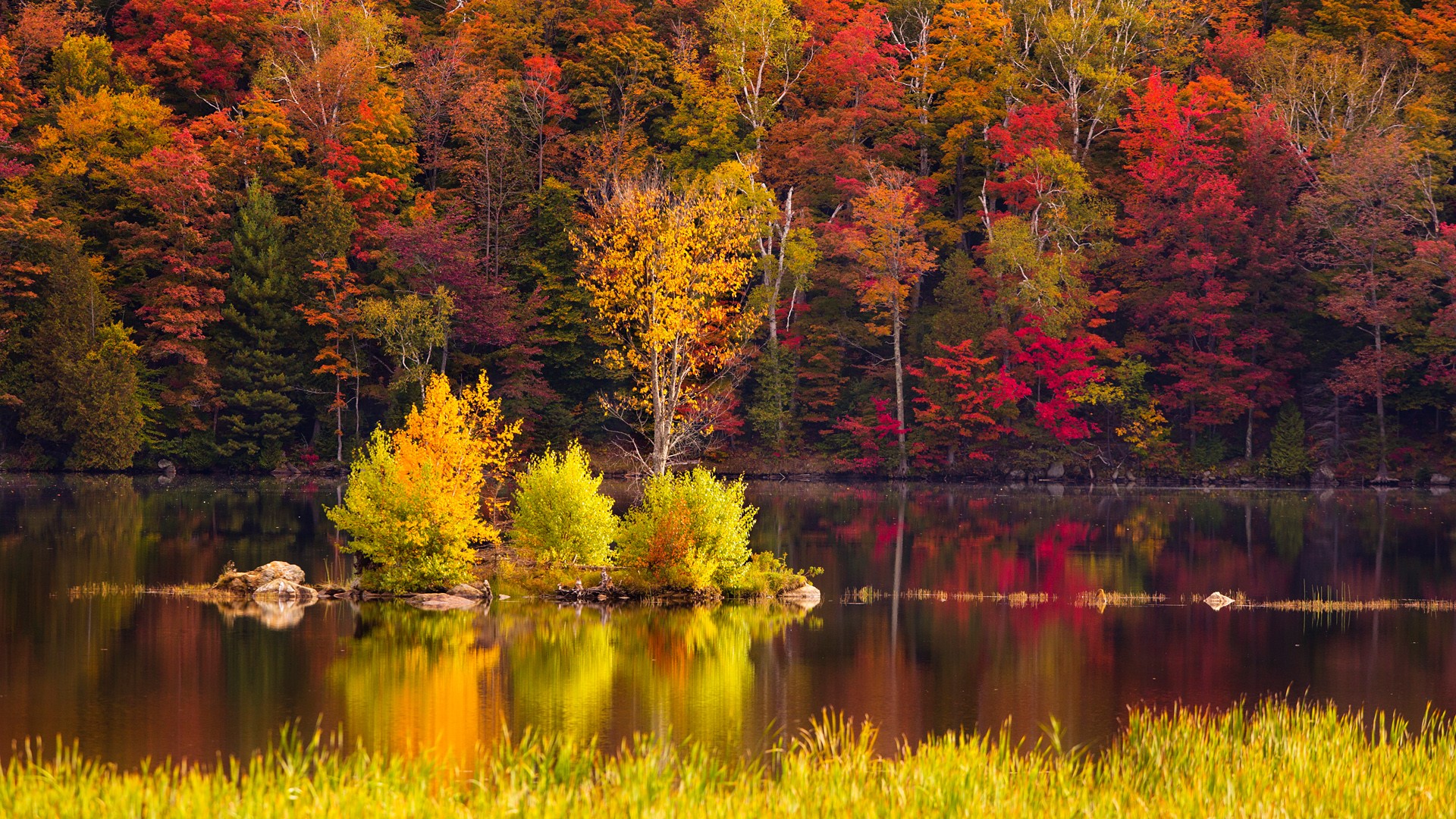Peak New England Foliage Around Kent Pond In Killington Rutland