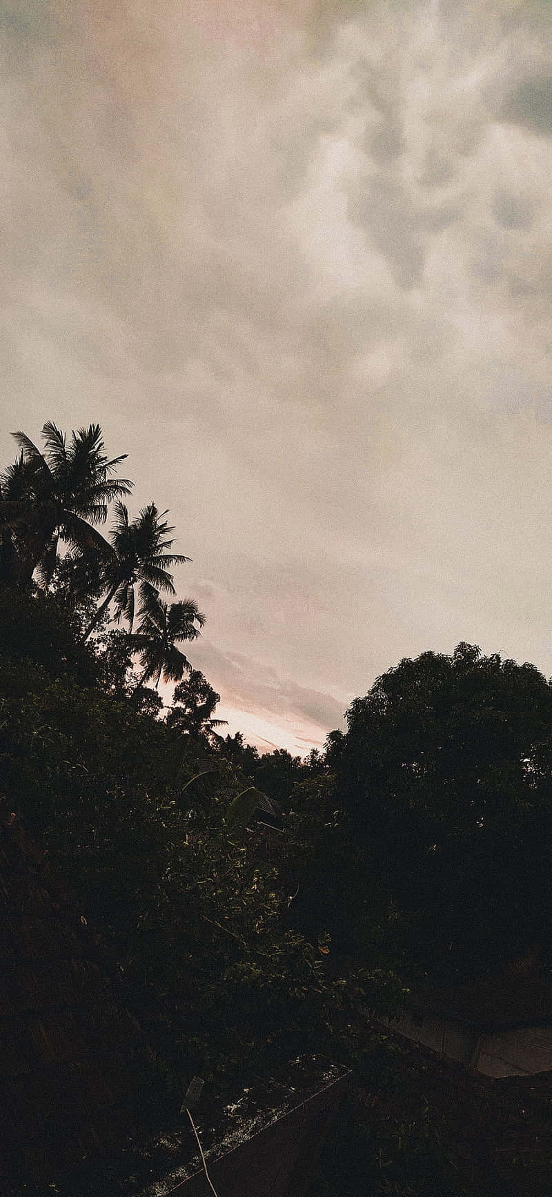 Moody Aesthetic Wallpaper
