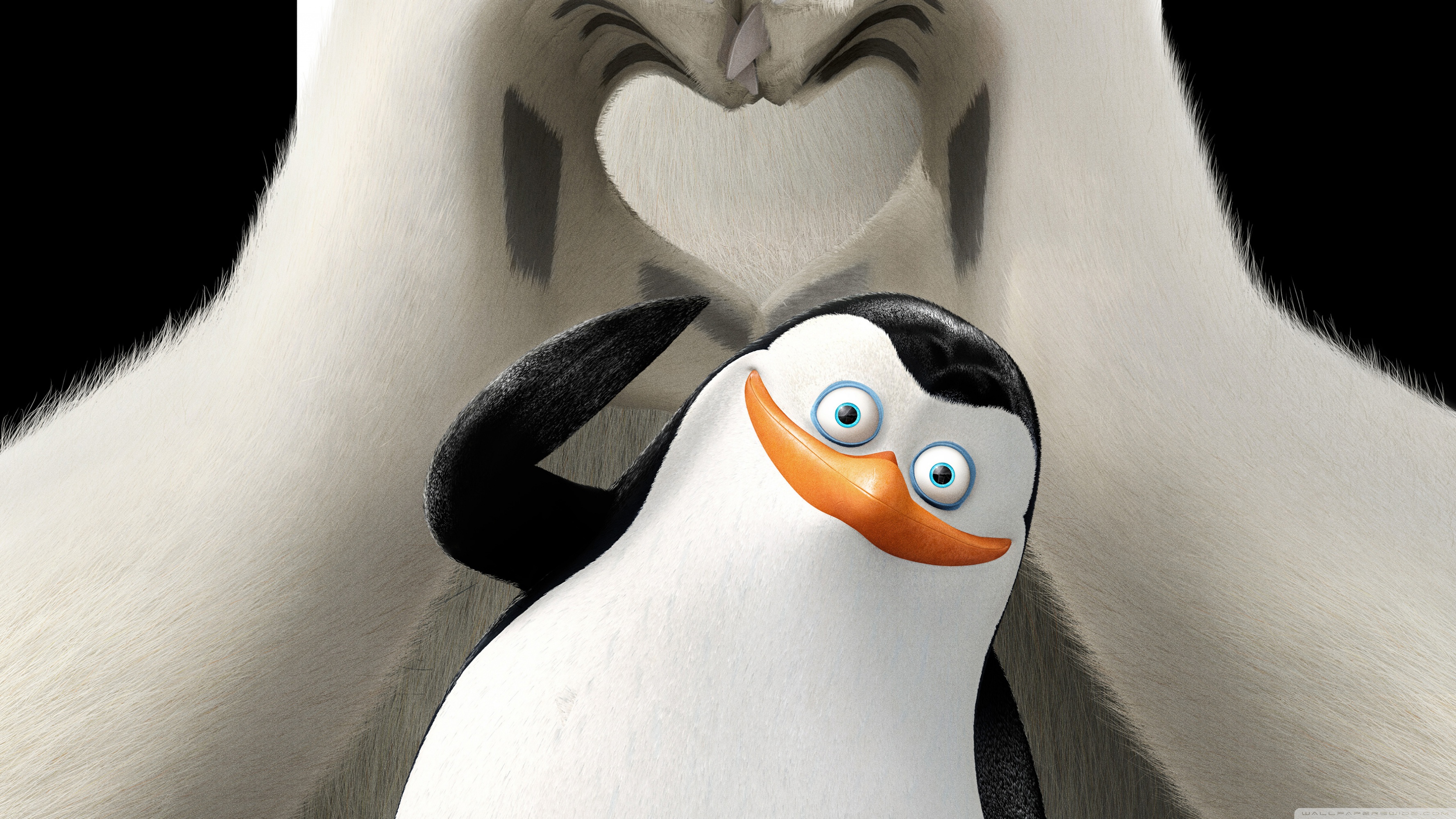 Penguins Of Madagascar Private And Corporal 4k HD Desktop