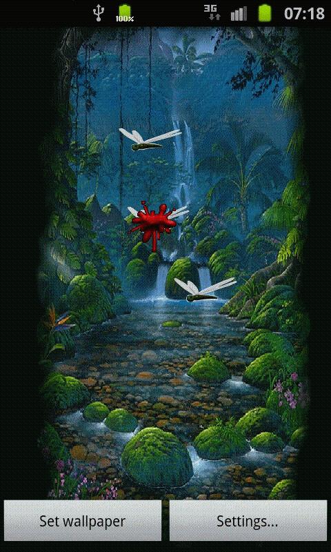 Dragon Fly Live WallPaper 480x800