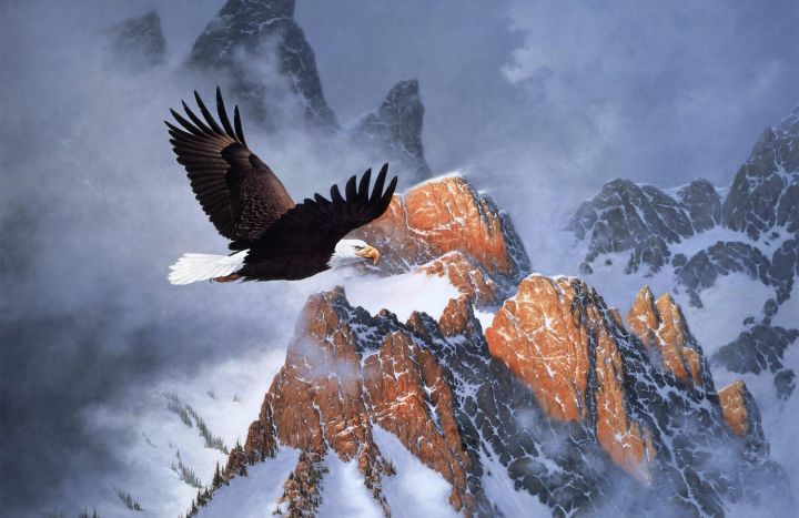 winter flight clouds snow bald eagle painting mountains eagle