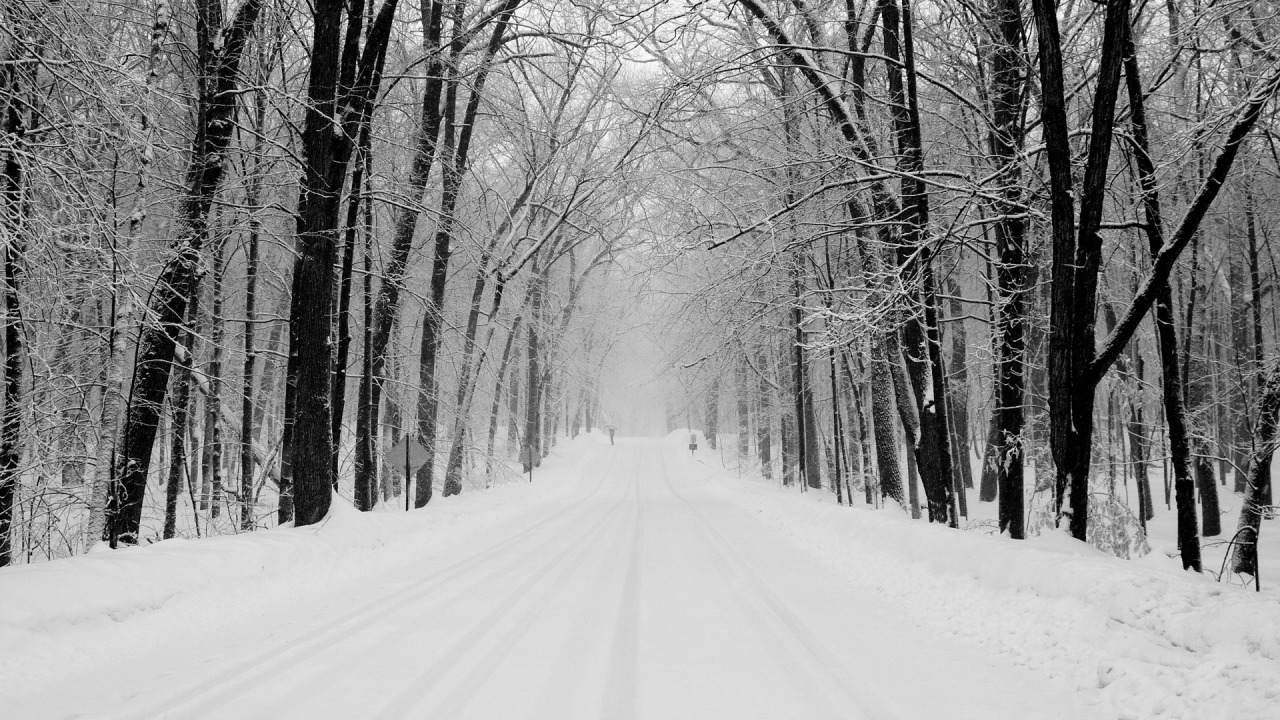 Snowy Road Wallpapers