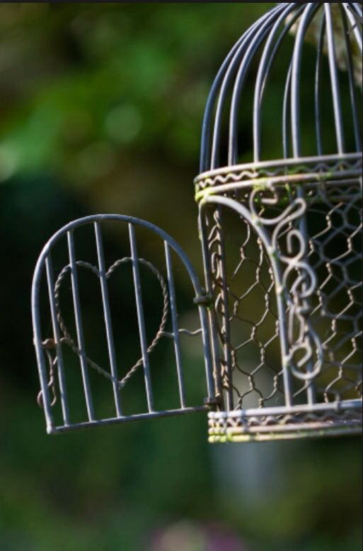 Bird Cage Wallpaper Birdcages