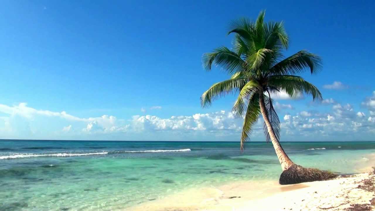 Relaxing Full HD Film Ocean Live Wallpaper Dreamscene