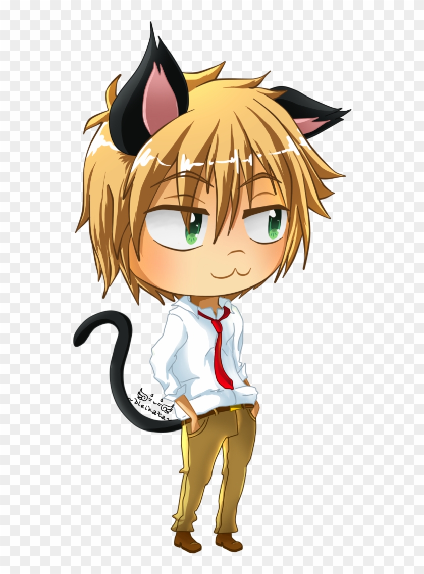 Usui Takumi Image Neko HD Wallpaper And Background