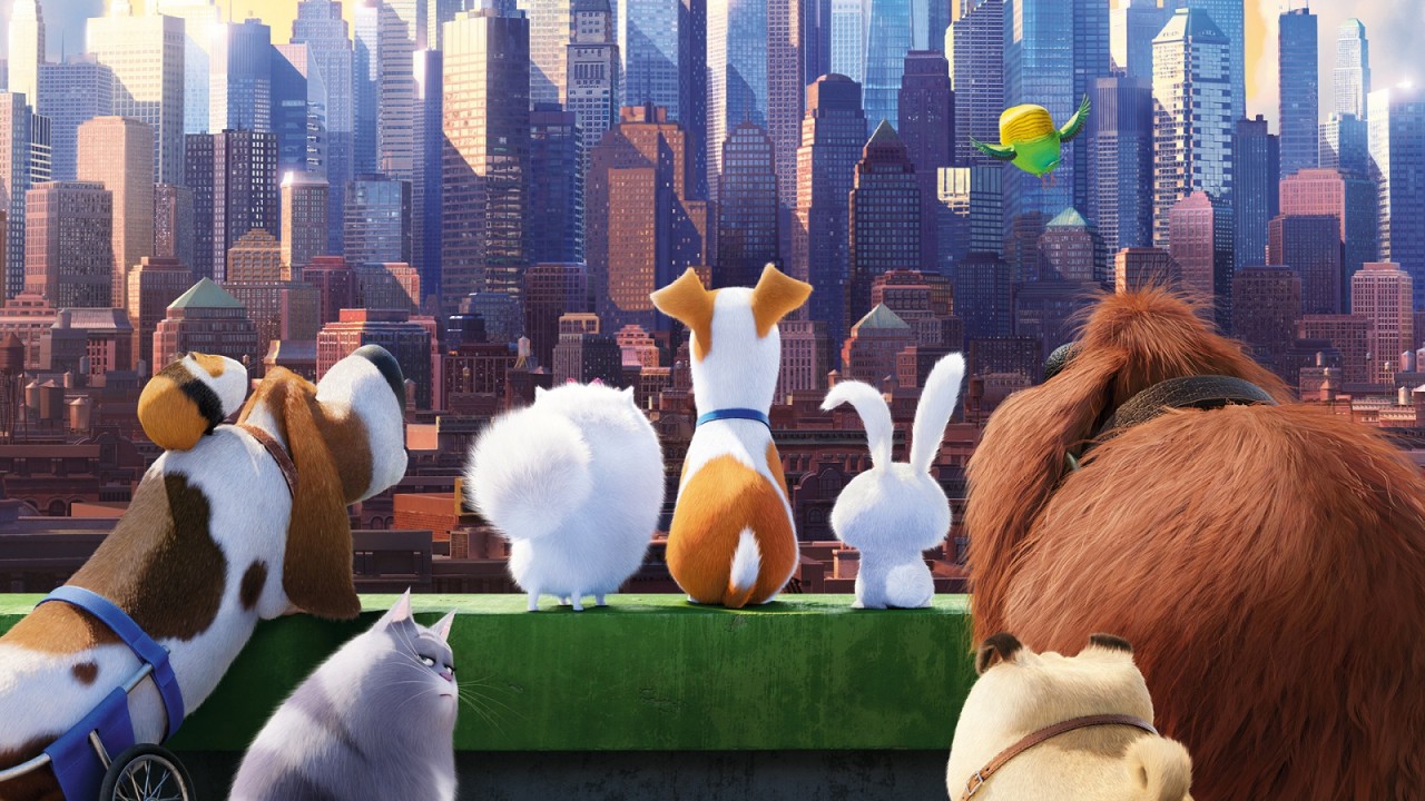 The Secret Life Of Pets Movies HD Wallpaper