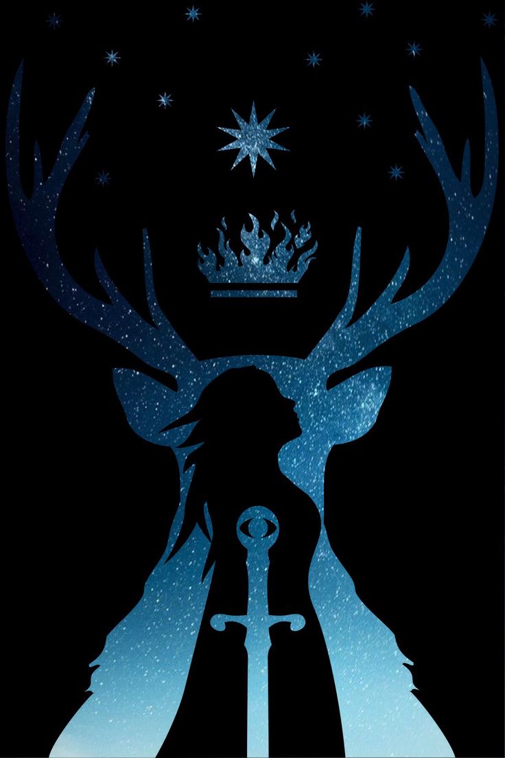 668 best images about Throne of Glass