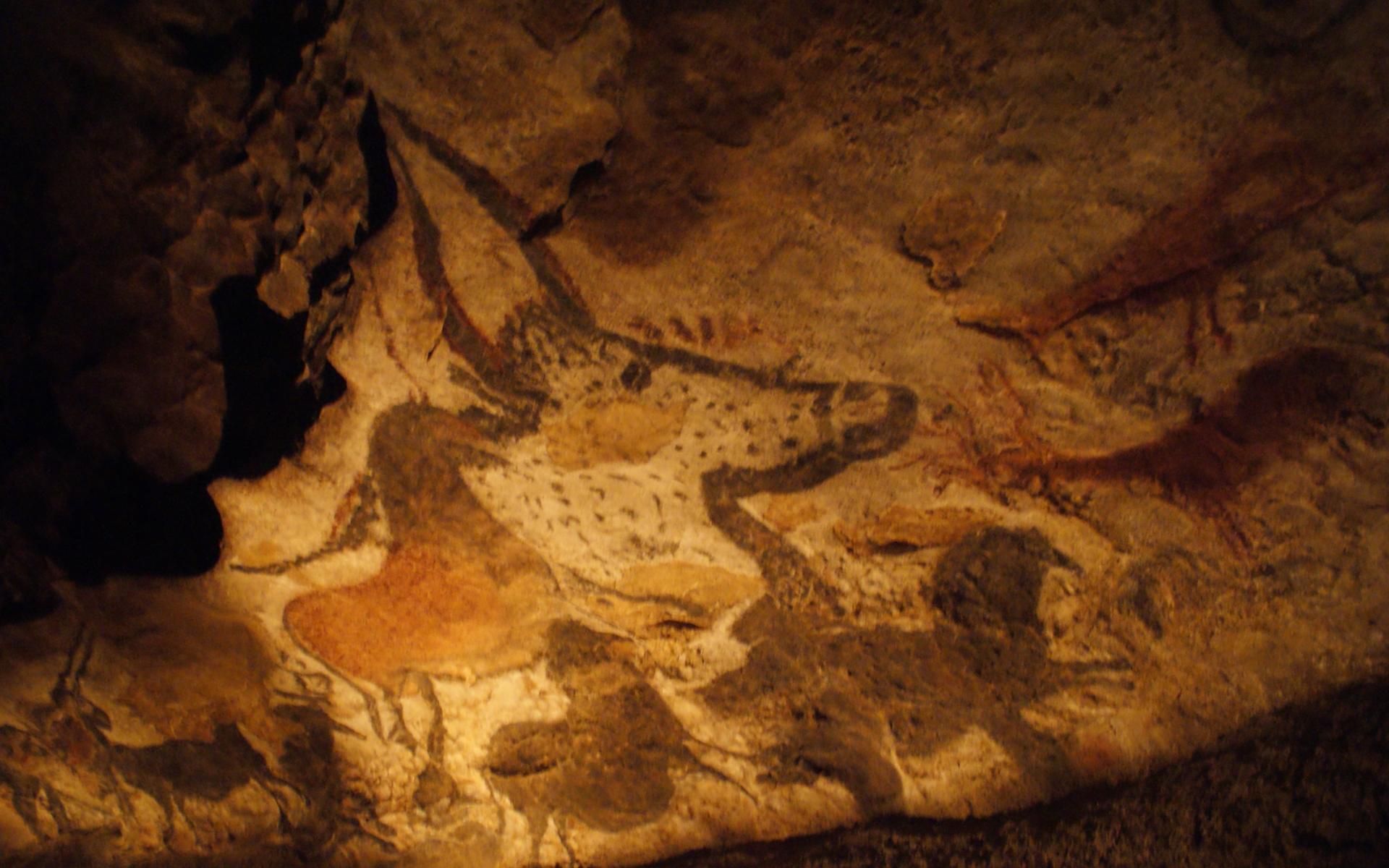 Animals In The Caves Of Lascaux HD Desktop Wallpaper Widescreen