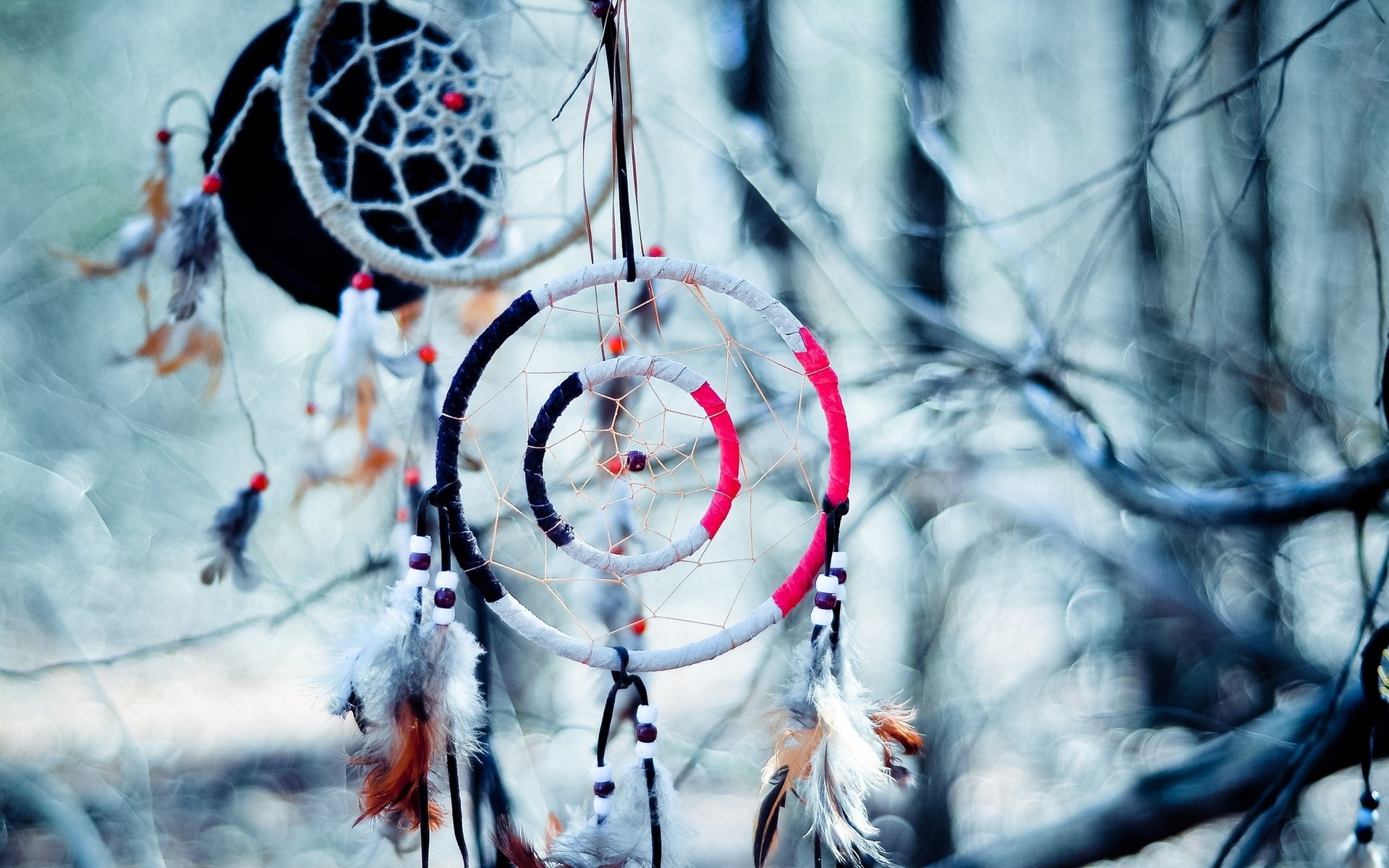 Dream Catcher native american artistic indian trees branch limb