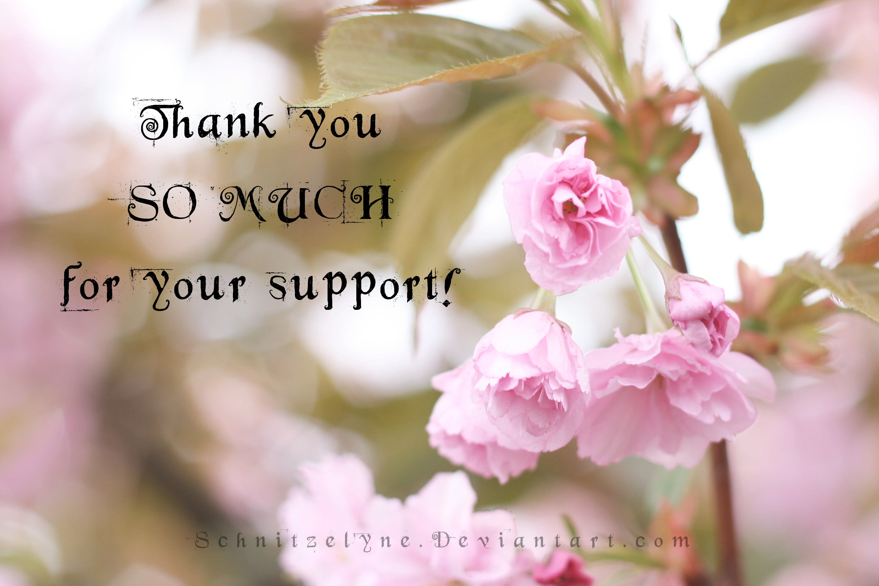 Thank you Wallpaper Download by Schnitzelyne