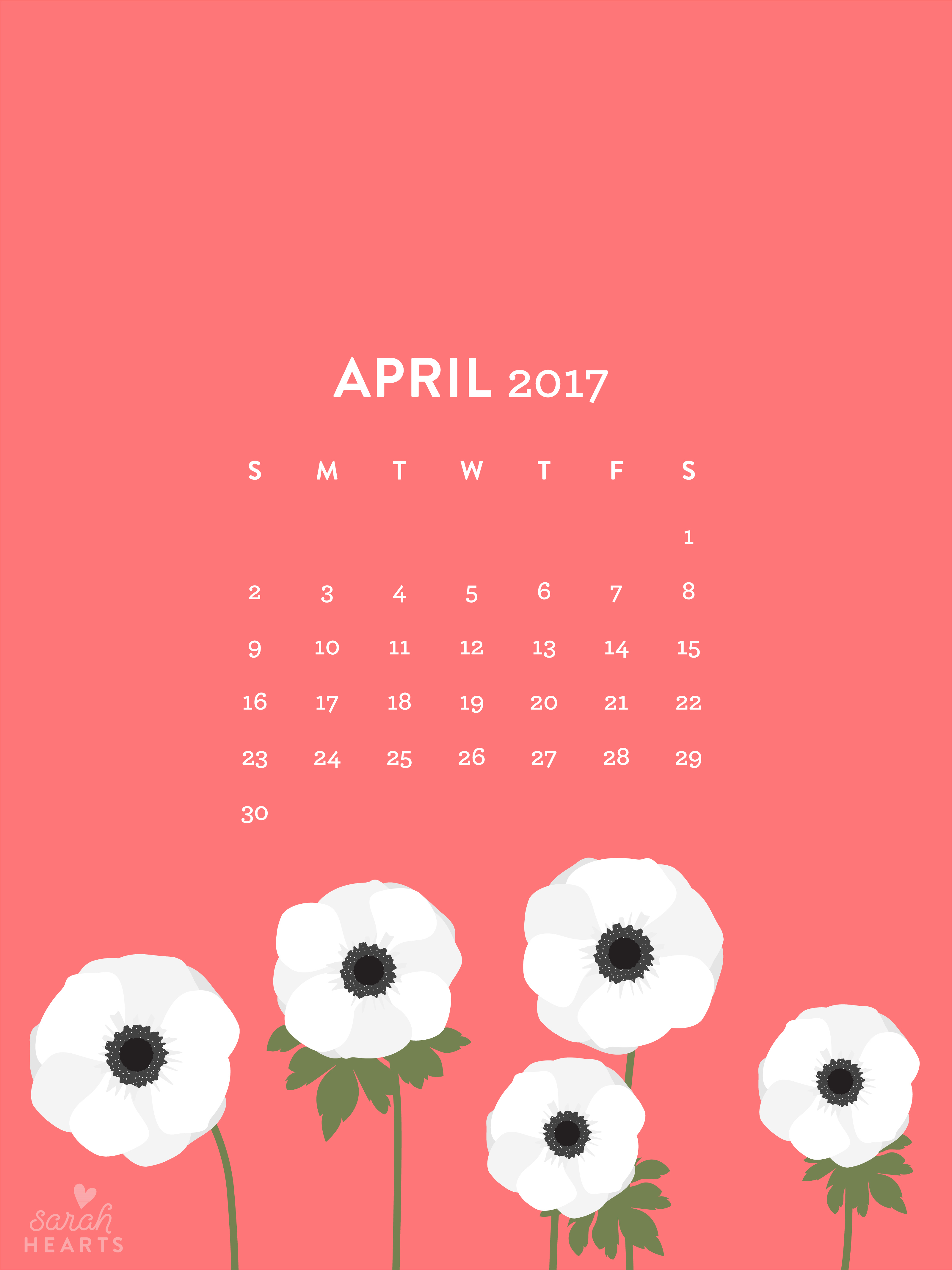 White Anemones April Calendar Wallpaper Sarah Hearts