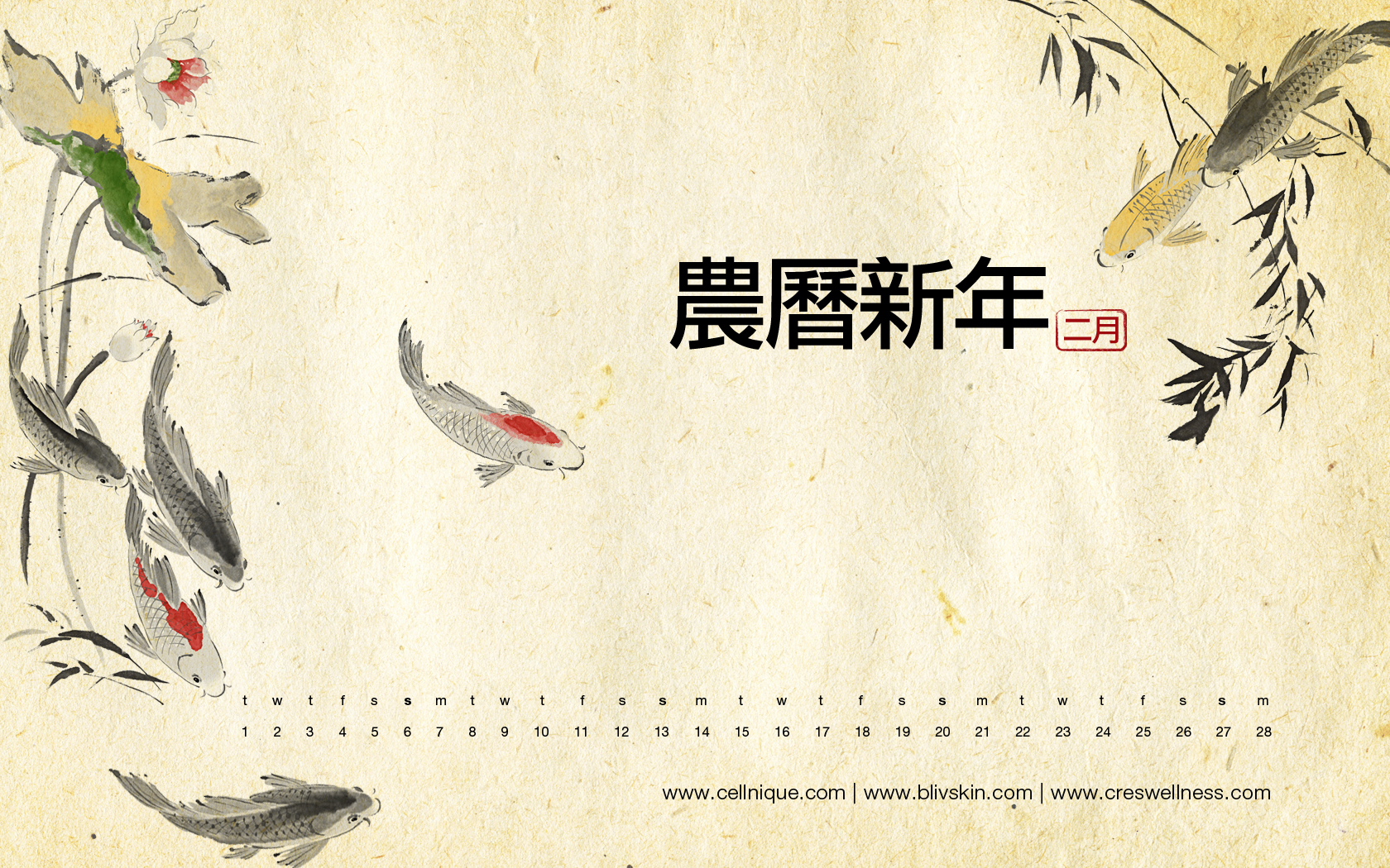 Chinese New Year Wallpaper 1680x1050