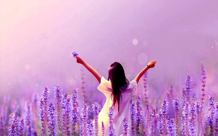 Girl In Lavender Field High Resolution Wallpaper For Desktop