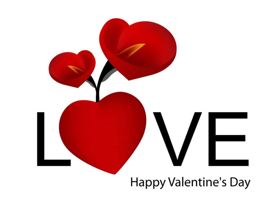 Happy Valentines Day Image Wallpaper Pictures