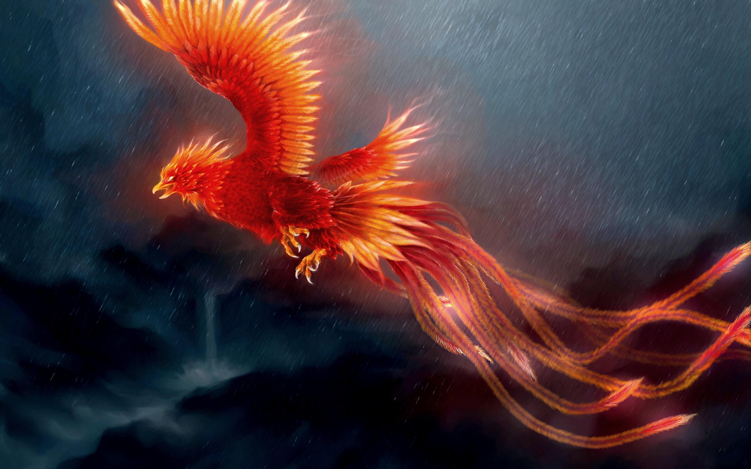 Phoenix Flight In Rain Wallpaper HD