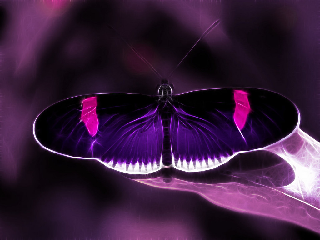 Purple Passion Purple Pink Fractalius Filter Butterfly   a photo on