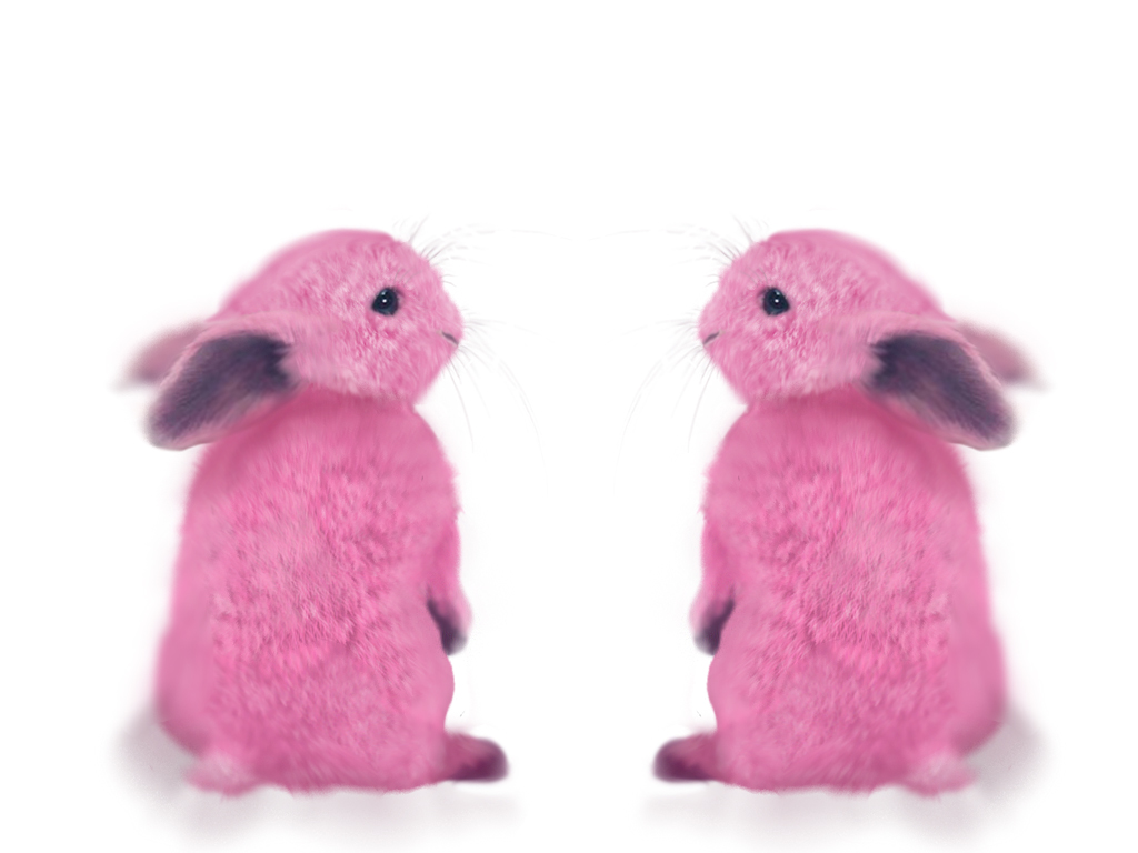 pink rabbit teddy