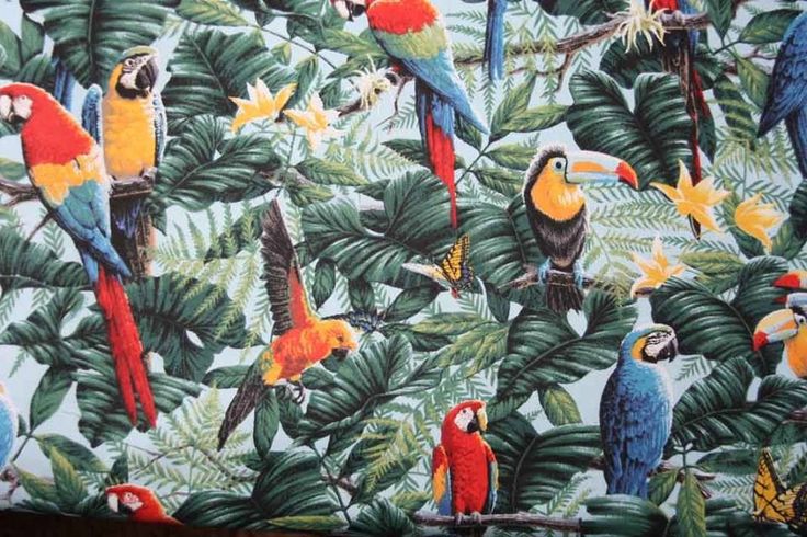 Wallpaper Print Bird Papier Mural Fabric