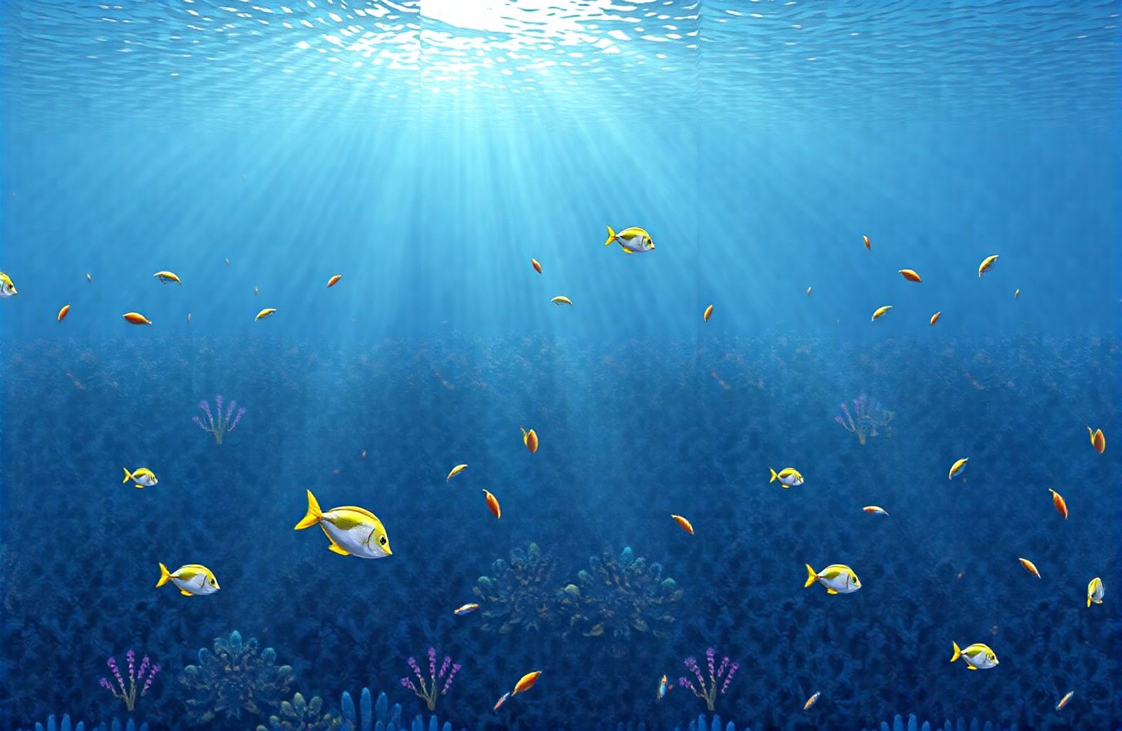 Fish Swimming Live Wallpaper