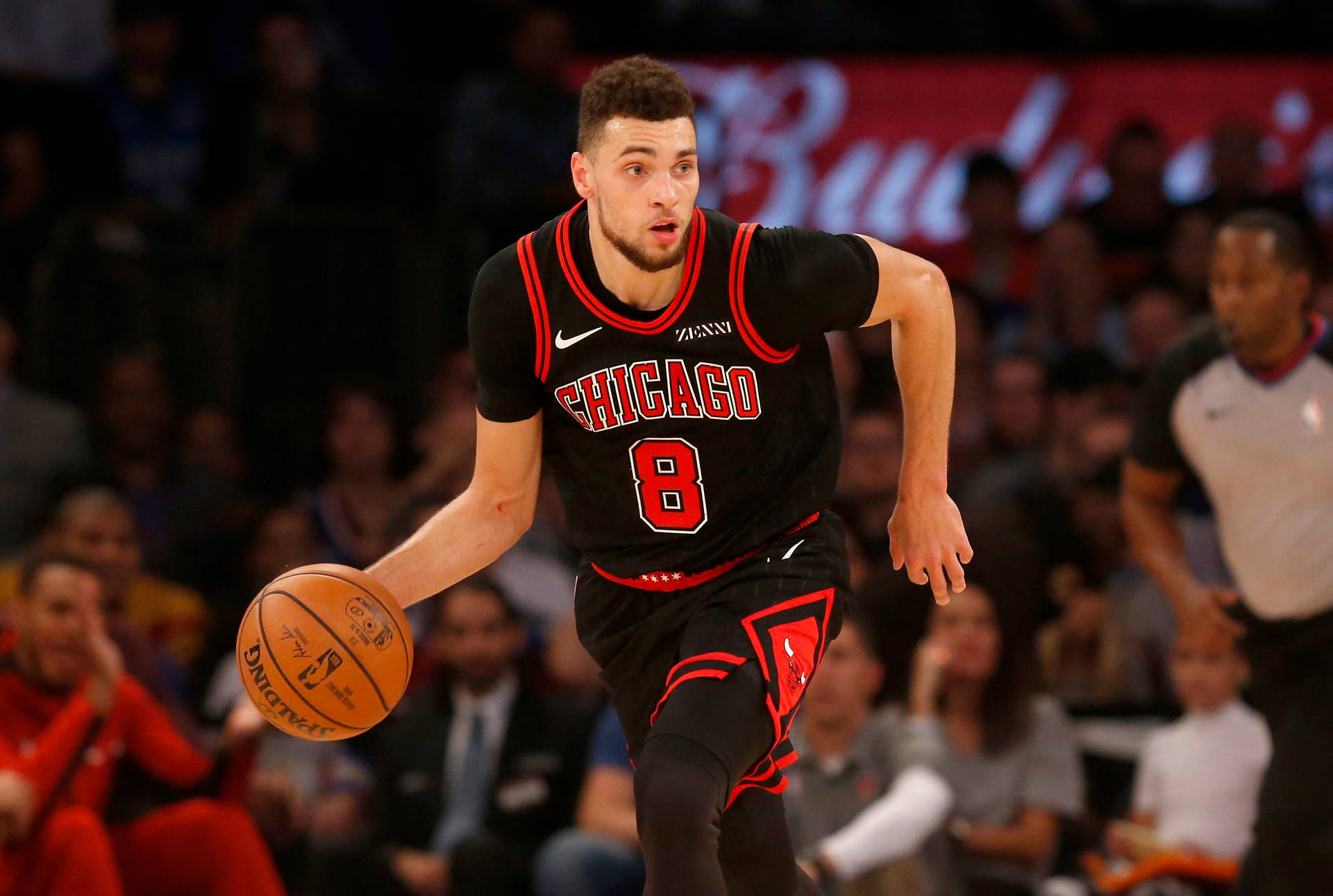 Lavine Wallpaper